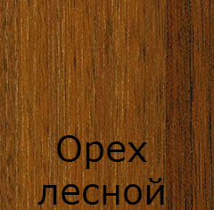 oreh-lesnoy